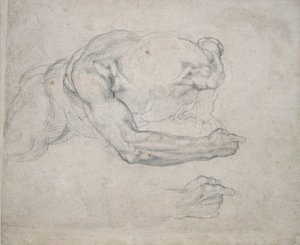 Study of a Man rising from the Ground by Michelangelo Buonarroti